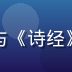 古典文学研究员林晓雯，专注先秦诗歌与《诗经》文化研究，短发学者形象，背景为书架